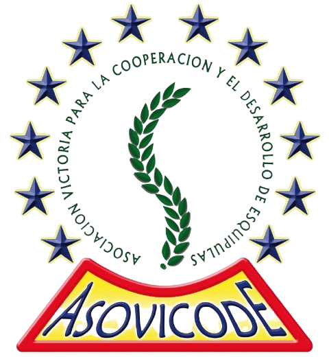 ASOVICODE